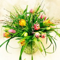 Tulpanfrossa - Tulpaner - Skicka blommor